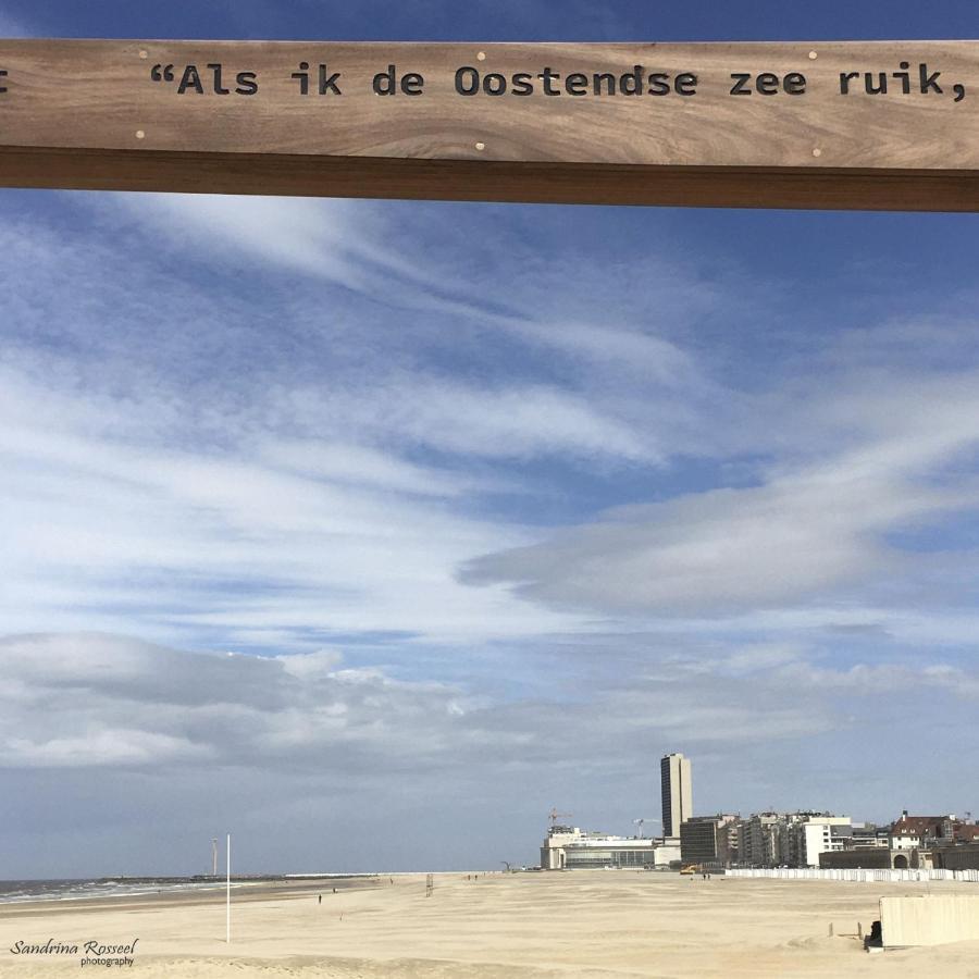 Knappe Studio Met Subliem Zeezicht! Ostend Exterior photo